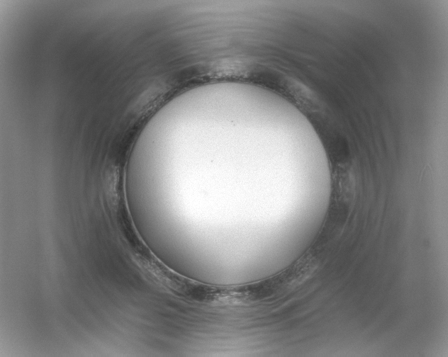 X0000054330550200508111922.png