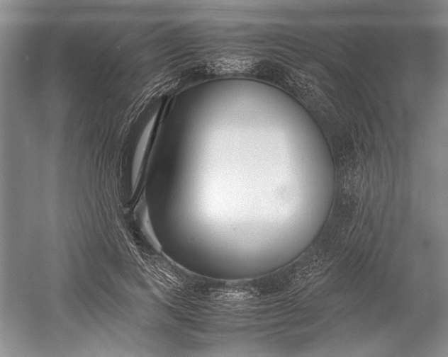 X0000055060743200508161645.png