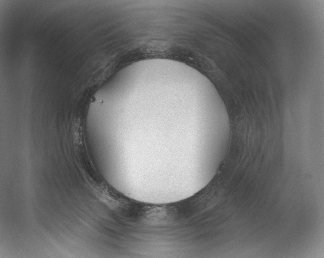 X0000055210083200508301333.png