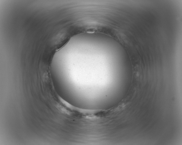 X0000054330916200508111915.png