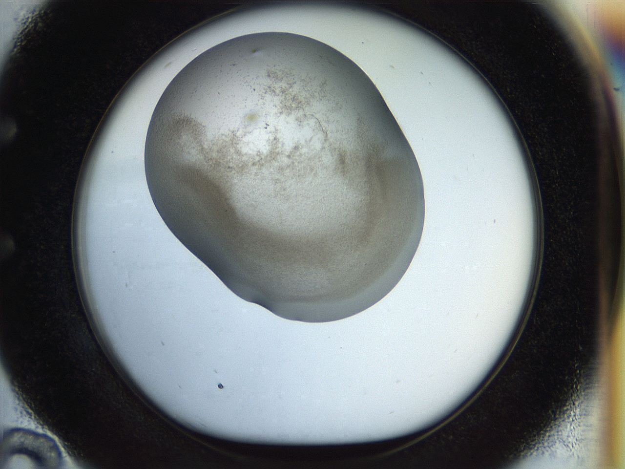 056o_E10_ImagerDefaults_3.jpg