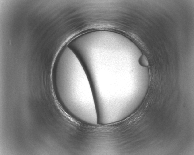 X0000054300840200508042308.png
