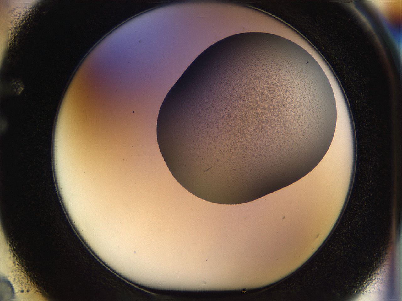 056o_F2_ImagerDefaults_2.jpg