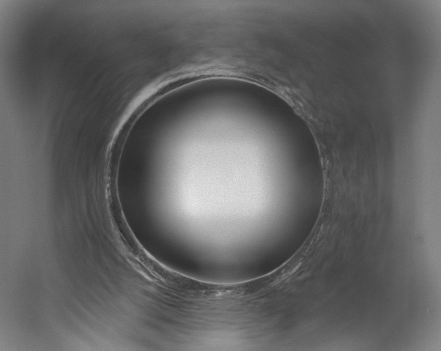 X0000055210056200508301332.png