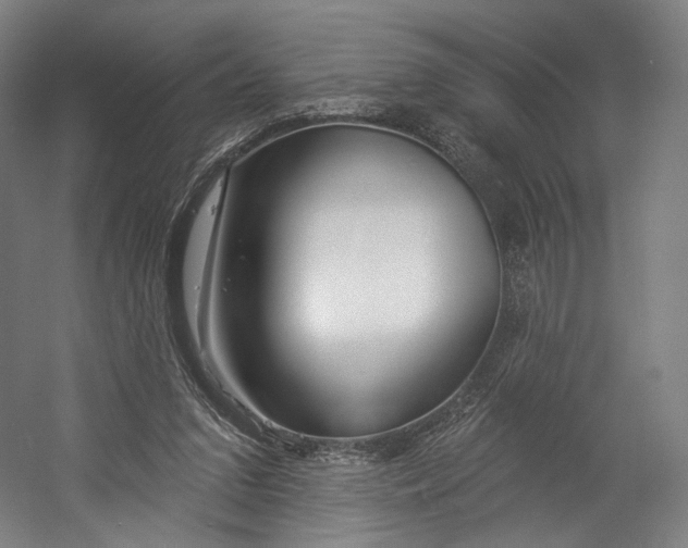 X0000055210207200508301330.png