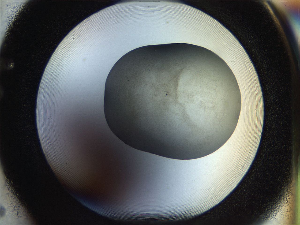 056o_F5_ImagerDefaults_2.jpg
