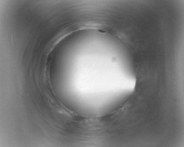 X0000054330338200508111925.png