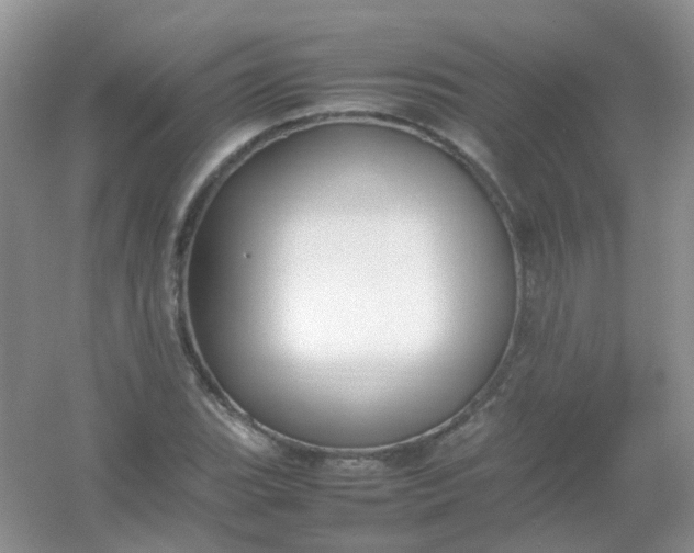 X0000054331119200508111912.png