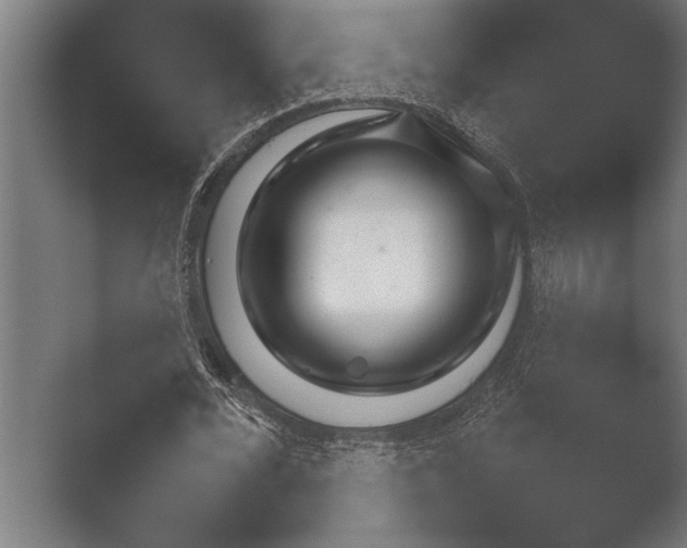 X0000051110676200507141757.png
