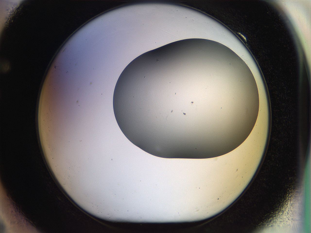 056o_F9_ImagerDefaults_0.jpg