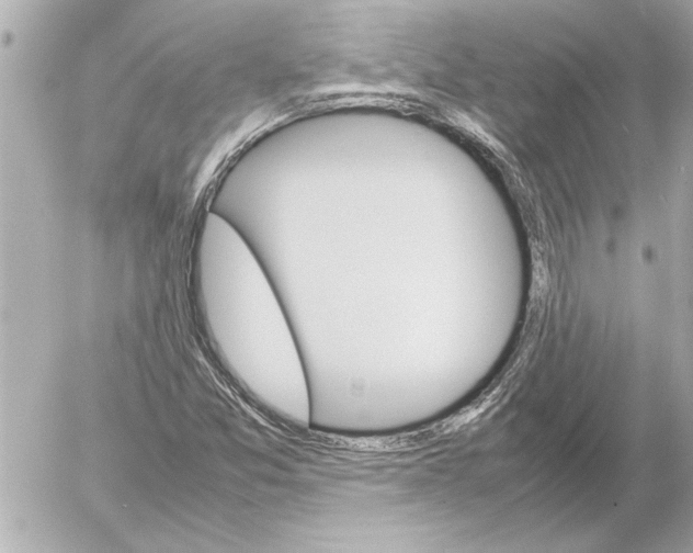 X0000054231357200508171500.png