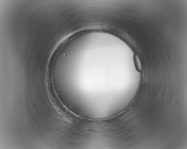 X0000054270724200508261915.png