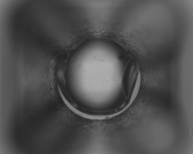 X0000047501346200503161502.png