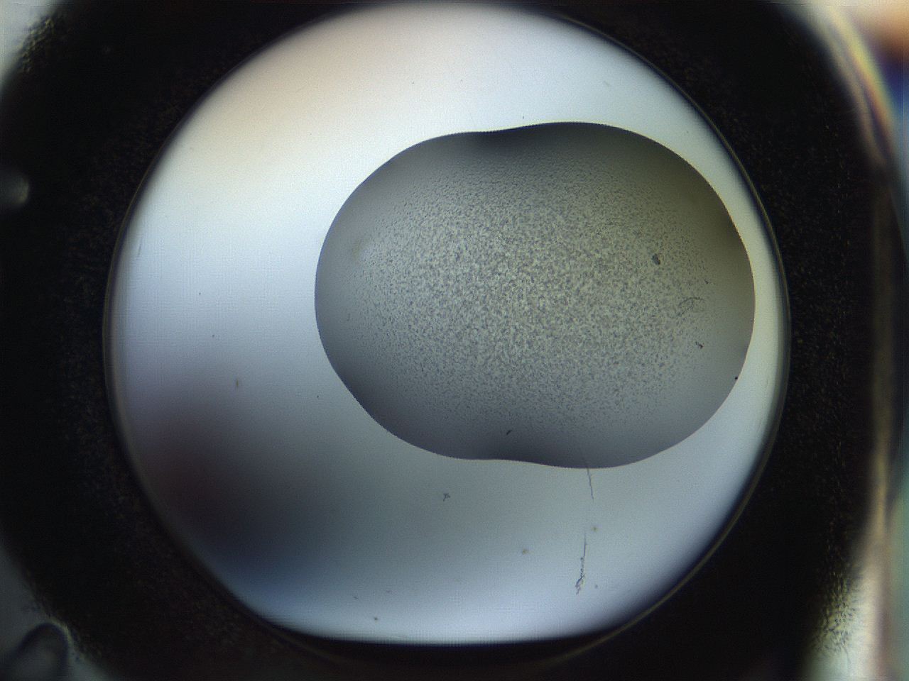 056o_F11_ImagerDefaults_2.jpg