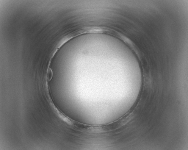 X0000054331194200508111911.png