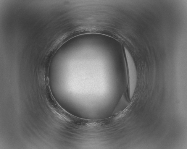 X0000055210158200508301331.png