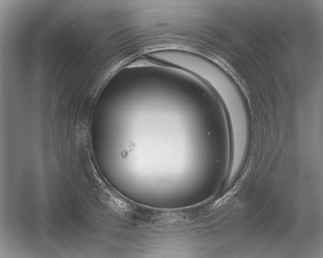 X0000055060993200508161641.png