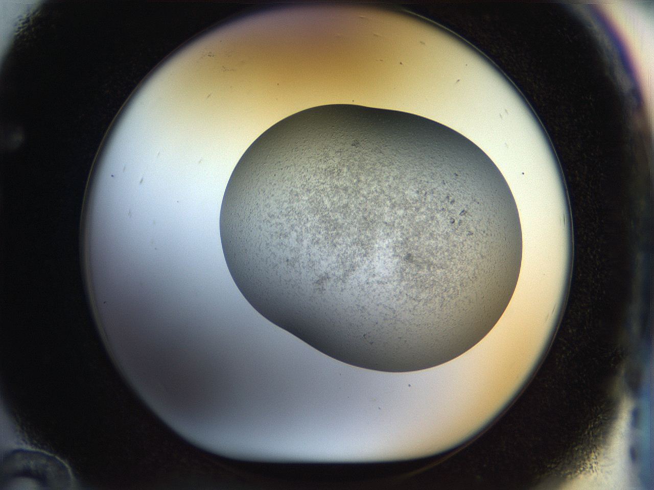 056o_F12_ImagerDefaults_2.jpg