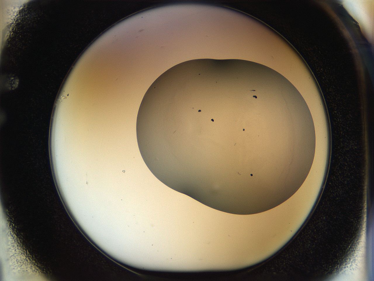 056o_F1_ImagerDefaults_1.jpg