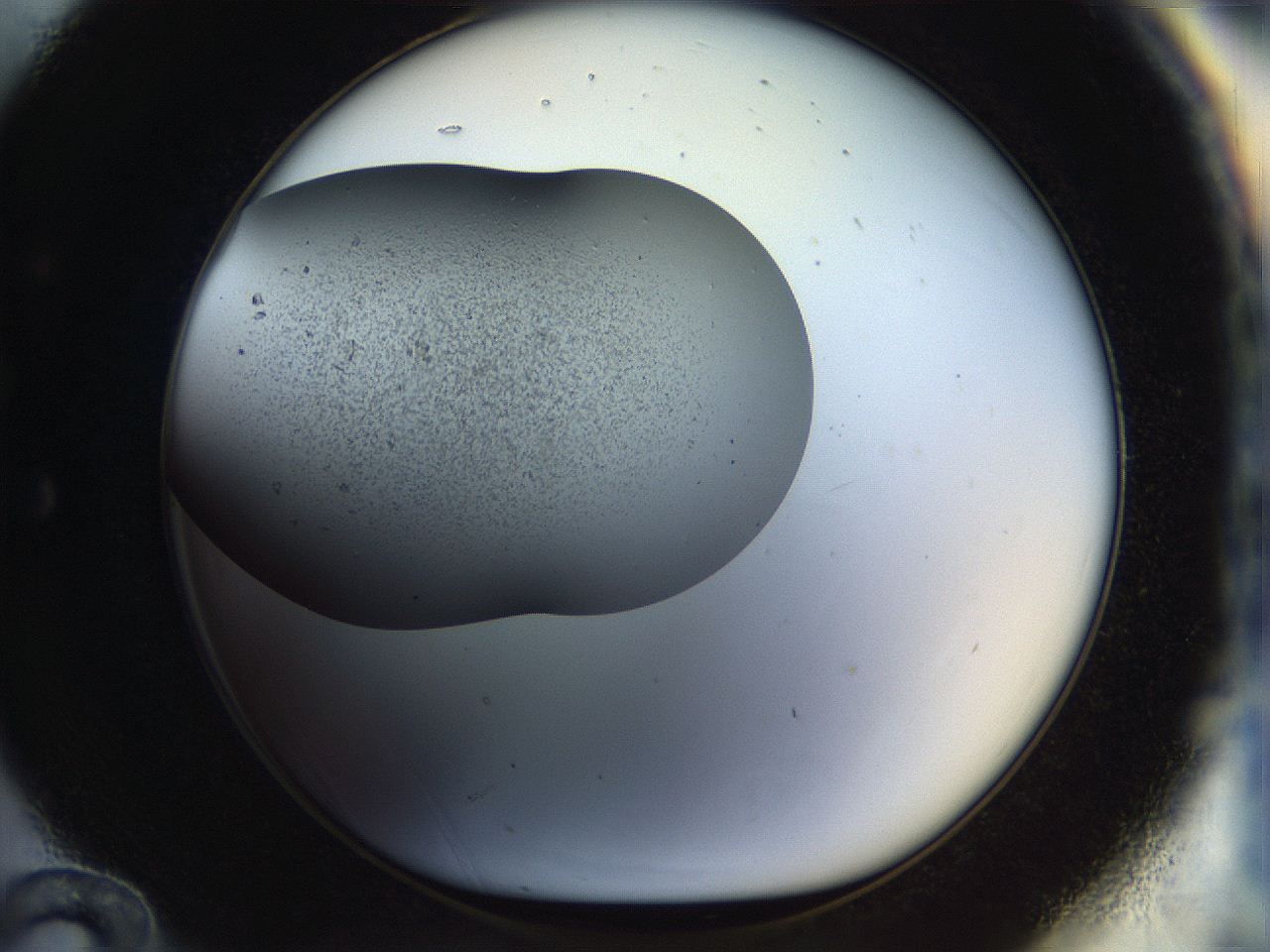 056o_E12_ImagerDefaults_2.jpg
