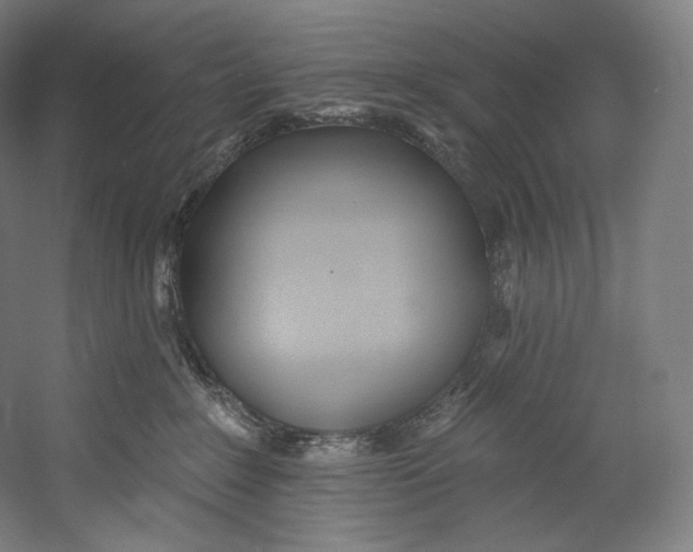 X0000055210235200508301330.png