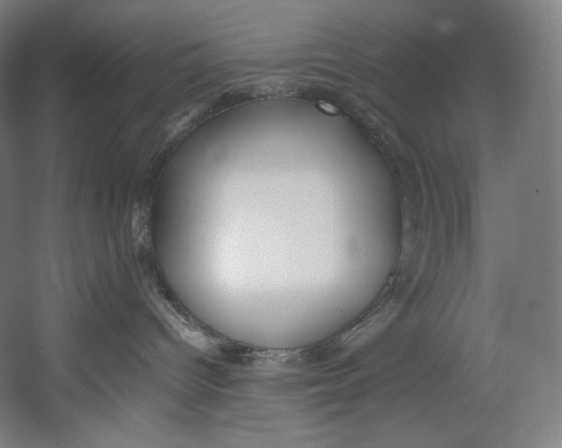 X0000055210096200508301333.png