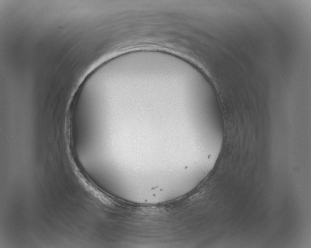 X0000055211526200508301308.png