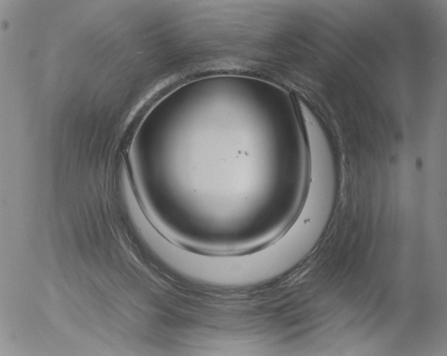 X0000054650156200508091650.png