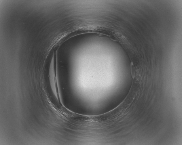 X0000055210544200508301324.png