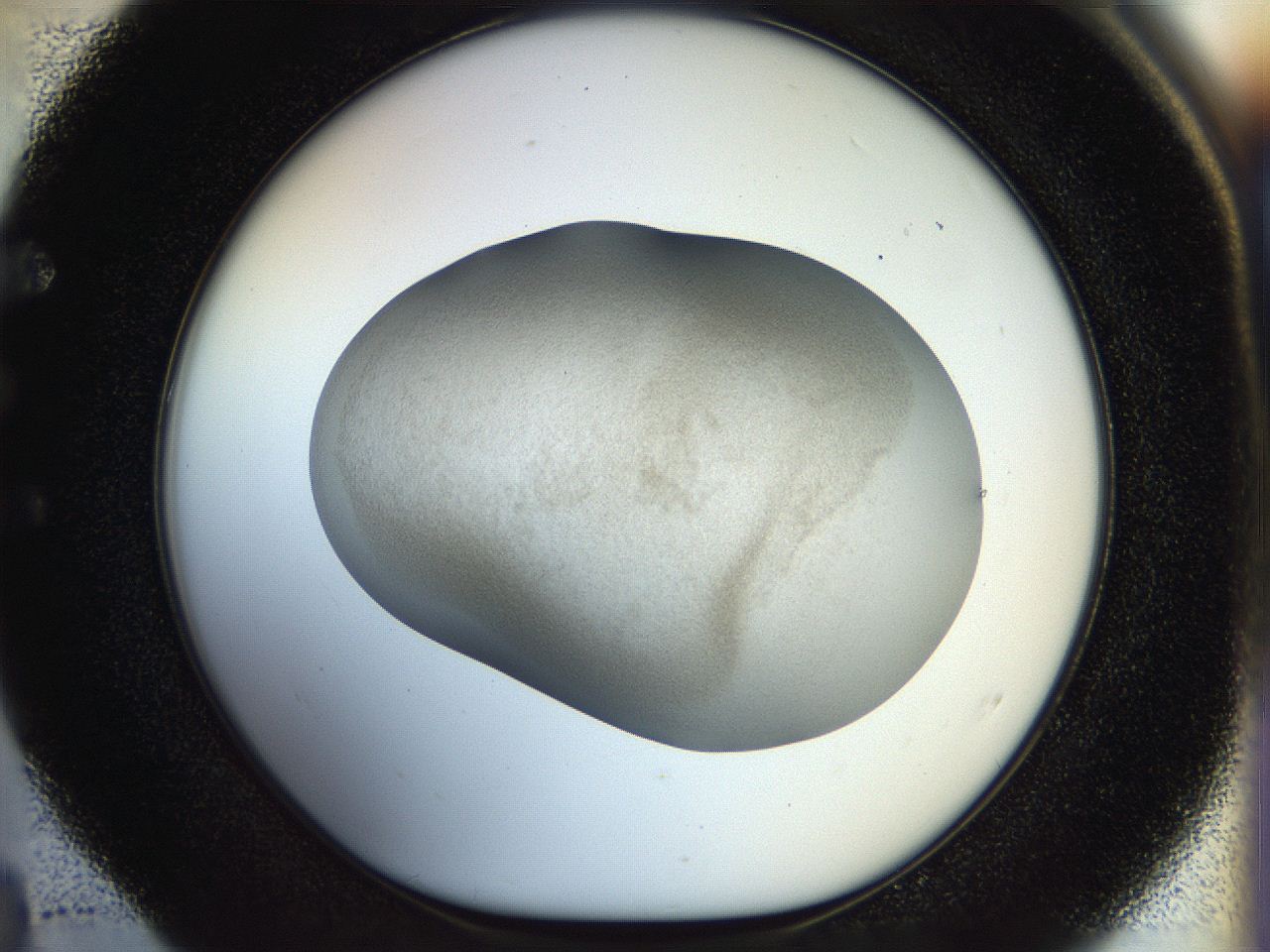056o_E4_ImagerDefaults_2.jpg