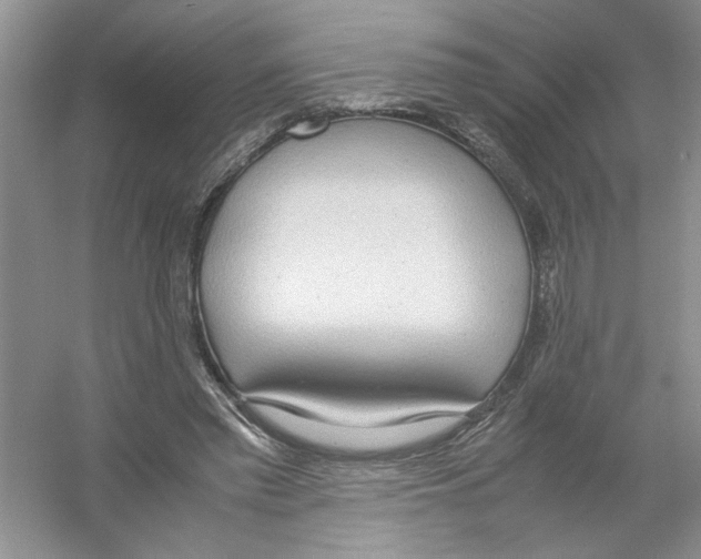 X0000054270397200508261921.png