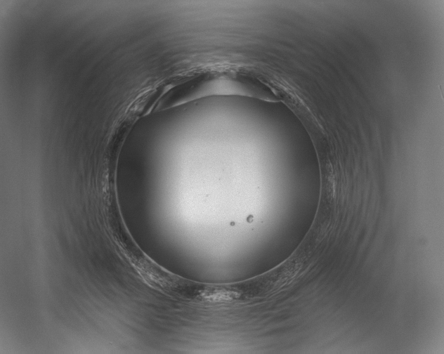 X0000055210407200508301327.png