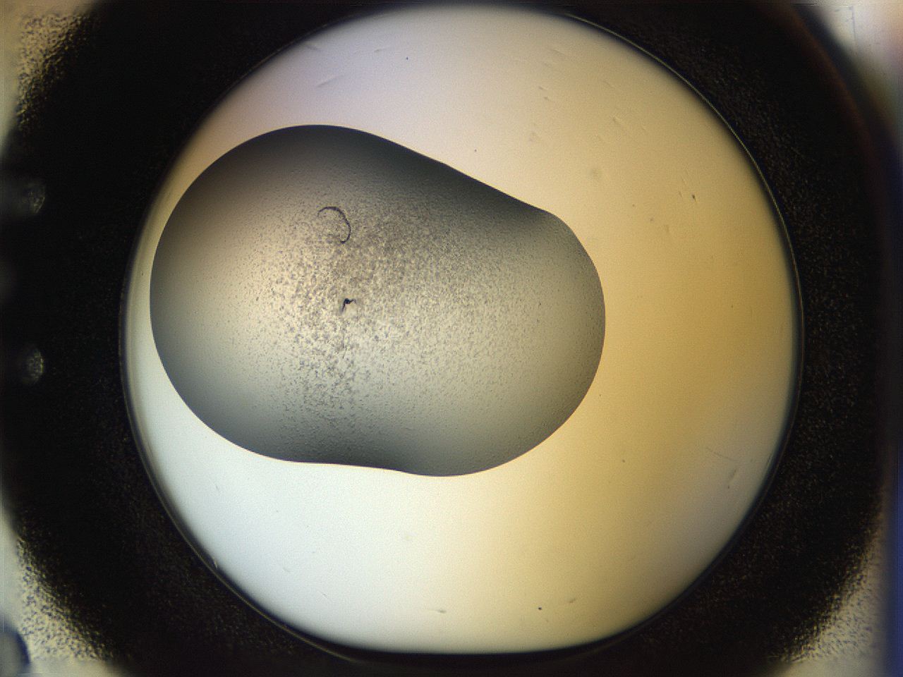 056o_E3_ImagerDefaults_2.jpg