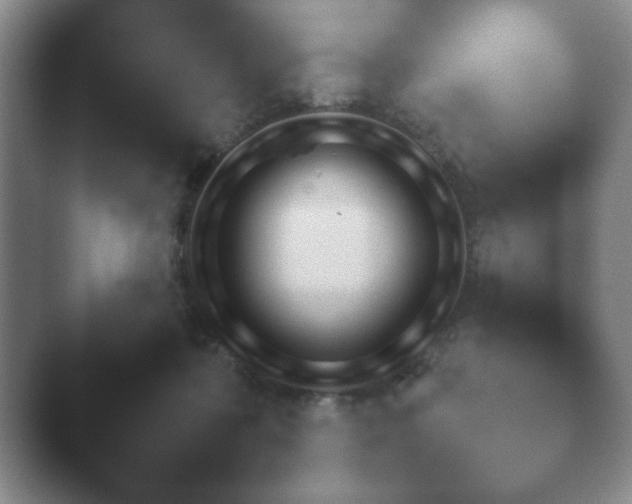 X0000040660316200411092018.png