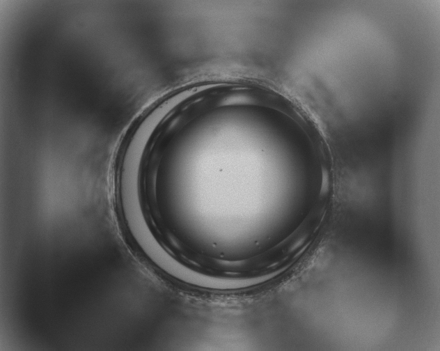 X0000047470843200503091557.png
