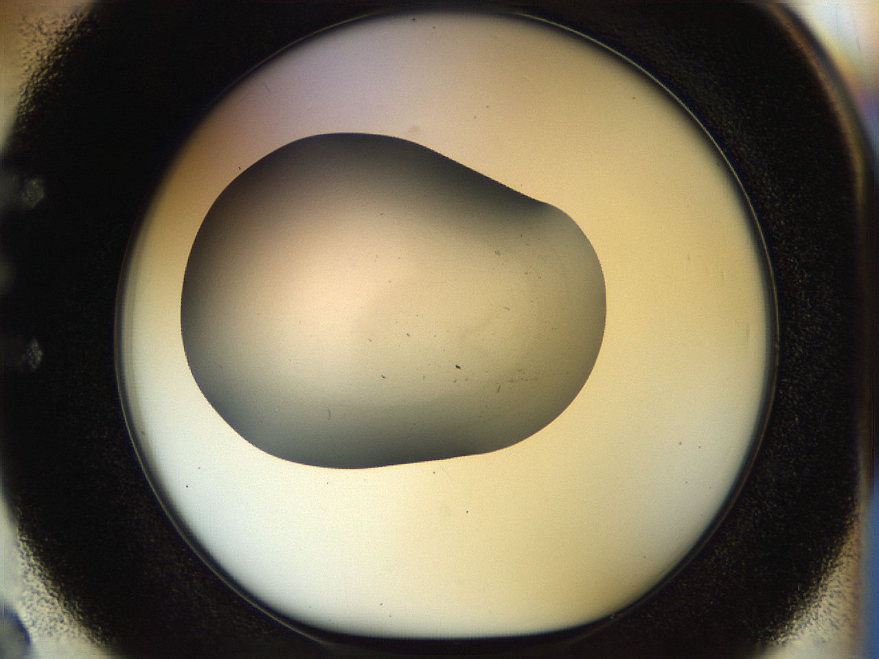 056o_E2_ImagerDefaults_0.jpg