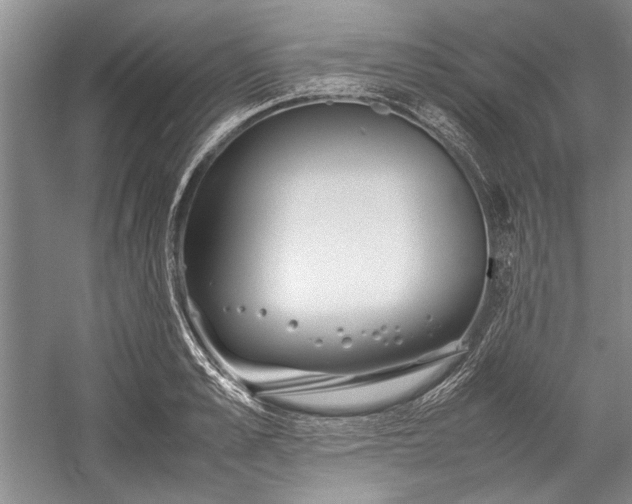 X0000055060989200508161641.png