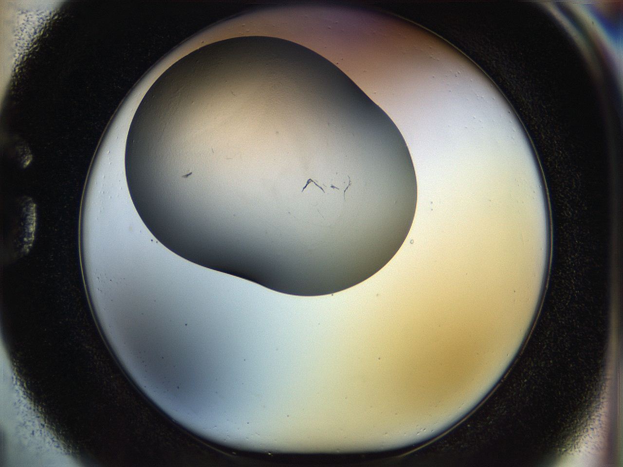 056o_G1_ImagerDefaults_1.jpg