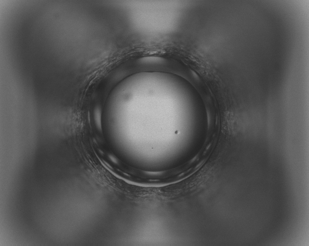 X0000040561442200411021416.png