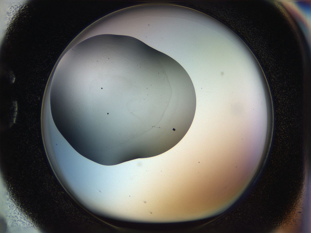 056o_G4_ImagerDefaults_1.jpg