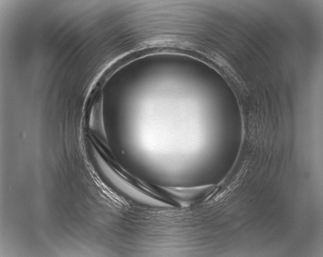 X0000055060880200508161643.png