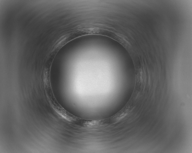 X0000055210092200508301333.png