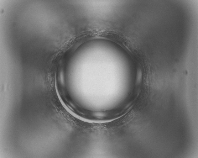 X0000052121346200507262041.png