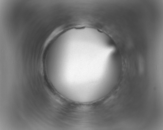 X0000054330198200508111928.png