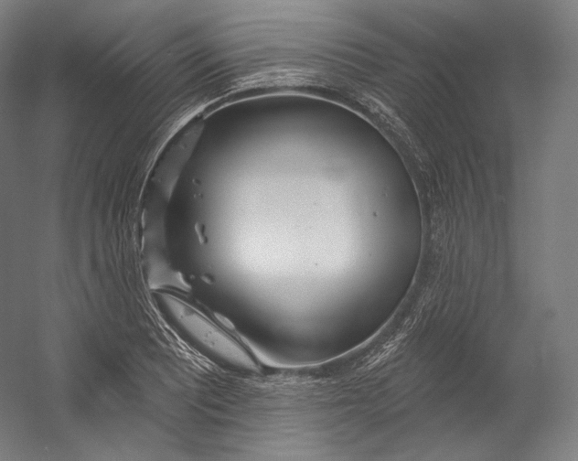 X0000055211081200508301315.png
