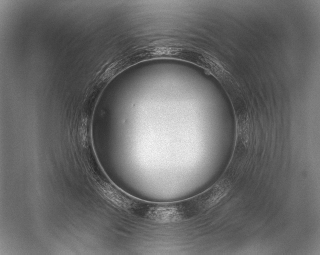 X0000055060554200508161648.png