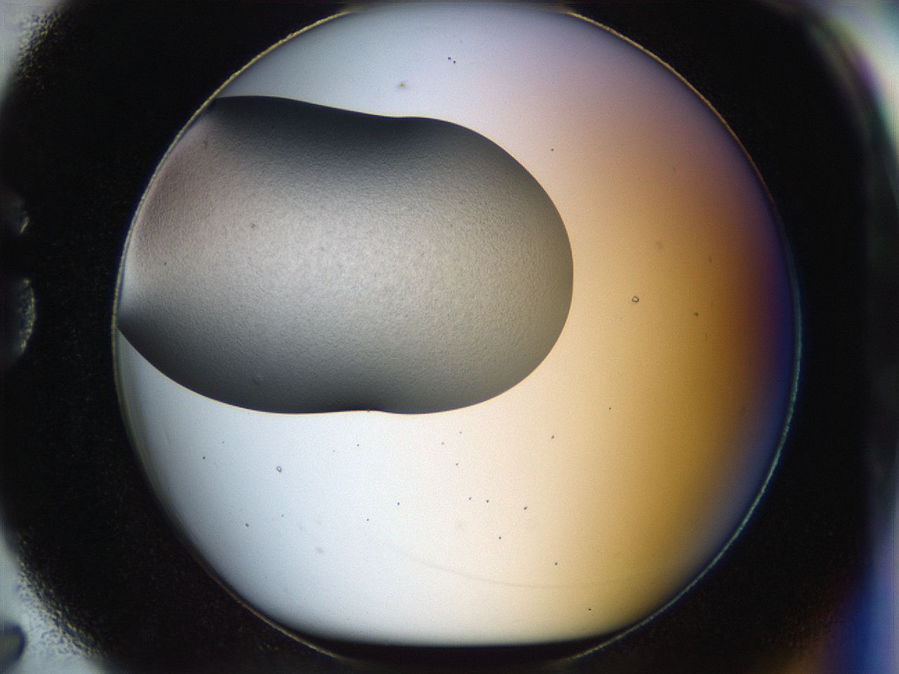 056o_G7_ImagerDefaults_2.jpg