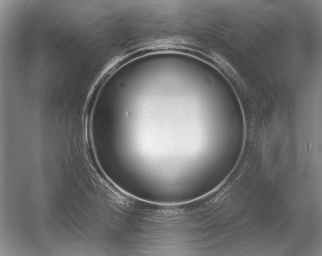 X0000055061224200508161637.png