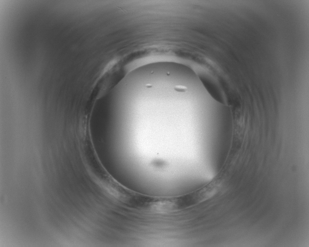 X0000054330168200508111928.png