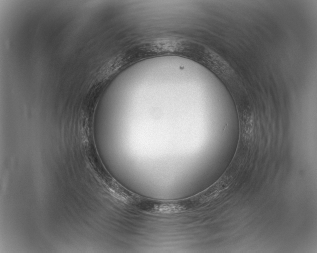 X0000055060414200508161651.png